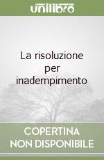 Borrione Marco