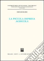 Masini Stefano