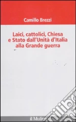 Brezzi Camillo