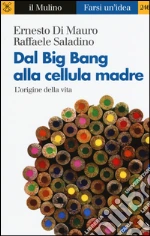 Di Mauro Ernesto; Saladino Raffaele
