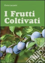 Lazzarini Ennio