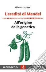 Lucifredi Alfonso