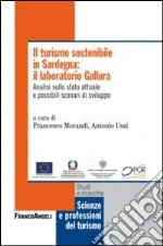 Morandi F. (cur.); Usai A. (cur.)