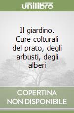 Serini Giuseppe