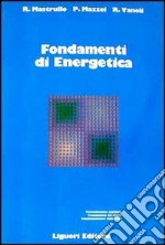 Mastrullo Rita M.; Mazzei Pietro; Vanoli Raffaele