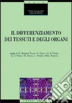 Campanella Chiara; De Martini Luisa