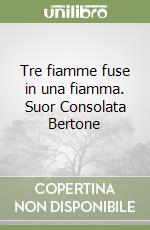 Sales Lorenzo; Mirri L. (cur.)
