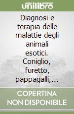 Avanzi Marta; Crosta Lorenzo; Peccati Claudio