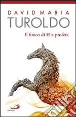 Turoldo David Maria