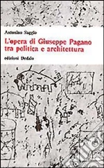 Saggio Antonino