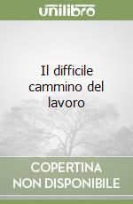 Foa Vittorio; Rieser Vittorio; Focker F. (cur.)