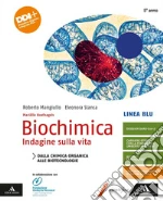 Hoefnagels Marielle; Mangiullo Roberto; Stanca Eleonora