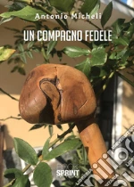 Micheli Antonio