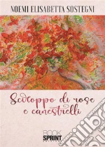 Sostegni Noemi Elisabetta