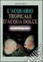 Mancini Alessandro