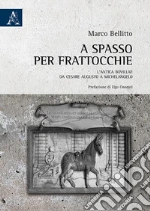 Bellitto Marco