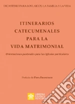 Dicastero per i laici, la famiglia e la vita (cur.)