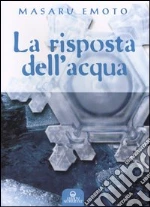 Emoto Masaru