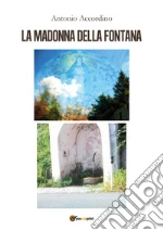 Accordino Antonio