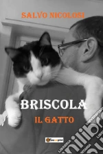 Nicolosi Salvo; Messina P. (cur.)