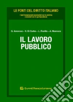 Amoroso G. (cur.); Di Cerbo V. (cur.); Fiorillo L. (cur.)