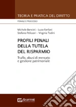 Bencini Michele; Fanfani Luca; Pelizzari Stefano