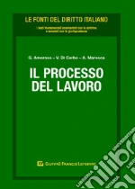 Amoroso G. (cur.); Di Cerbo V. (cur.); Maresca A. (cur.)