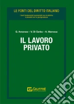 Maresca A. (cur.); Di Cerbo V. (cur.); Amoroso G. (cur.)