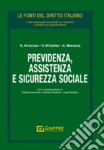 Amoroso G. (cur.); Di Cerbo V. (cur.); Maresca A. (cur.)