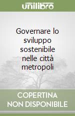 Amato; Fraudatario