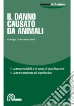 Cricenti Giuseppe; Galiano Matteo
