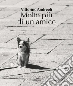 Andreoli Vittorino