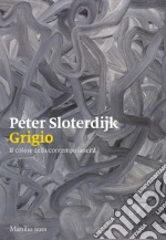 Sloterdijk Peter