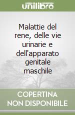 Albertazzi Alberto; Porena Massimo; Larizza (cur.)