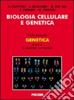 Fantoni Antonio; Bozzaro Salvatore; Del Sal Giannino