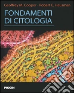 Cooper; Hausman; Filippini A. (cur.); ziparo E. (cur.)