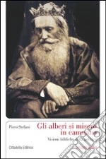 Stefani Piero