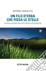 Coccoluto Antonio