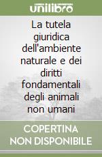 Cermignani Mario