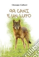 Carlucci Giuseppe