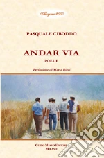 Ciboddo Pasquale; Rizzi M. (cur.)