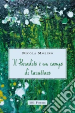 Molino Nicola