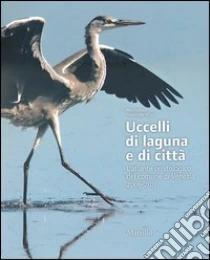 Uccelli di laguna e di città. L'atlante ornitologico nel comune di Venezia 2006-2011 libro di Bon Mauro - Stival Emanuele