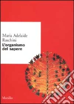 Raschini Maria Adelaide; Ottonello P. P. (cur.)