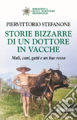 Stefanone Piervittorio