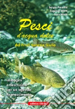 Paradisi Sergio; Miotti Eugenio; Miotti Loris