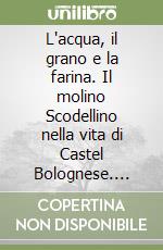 Ferri Andrea