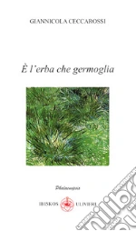 Ceccarossi Giannicola