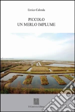 Calenda Enrico