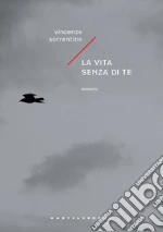 Sorrentino Vincenzo
